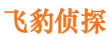 安新市侦探调查公司